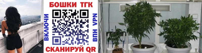 Бошки Шишки White Widow  продажа наркотиков  Родники 